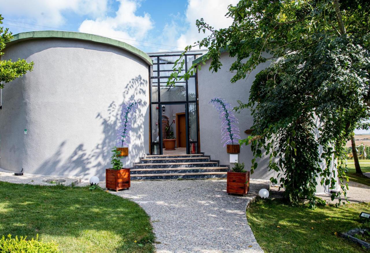 Trikos Boutique Hotel Istanbul Eksteriør billede